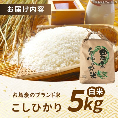 【令和8年産】 こしひかり 白米 5kg 糸島市産 [AGR021]