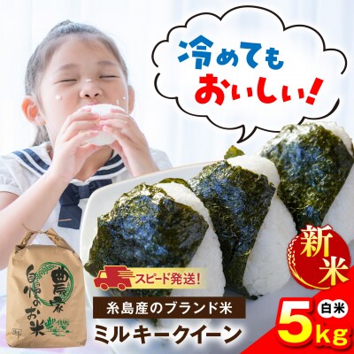 【令和8年産】 ミルキークイーン 白米 5kg 糸島市産 [AGR022]