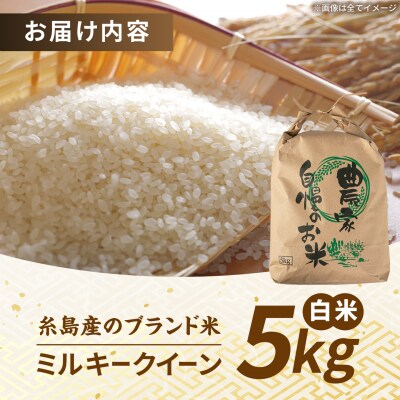 【令和8年産】 ミルキークイーン 白米 5kg 糸島市産 [AGR022]