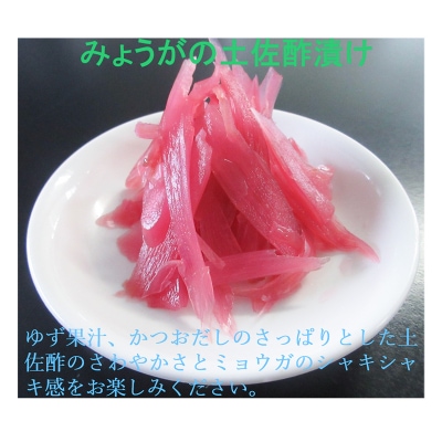 みょうが土佐酢漬け(70g×10パック)