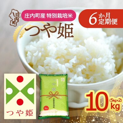 【定期便】<令和8年産>つや姫 5kg×2袋×6ヶ月 毎月 10kg 精米【11月下旬発送】