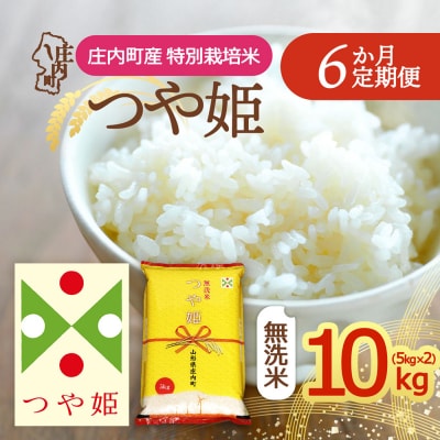 【定期便】<令和8年産>つや姫 無洗米 5kg×2袋×6ヶ月 毎月 10kg【11月下旬発送】