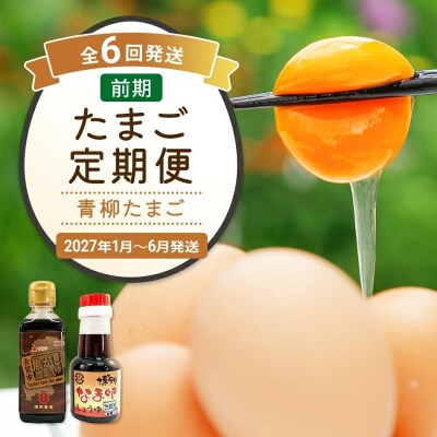 【定期便(6回発送)】たまご(前期)定期便・青柳たまご 2026