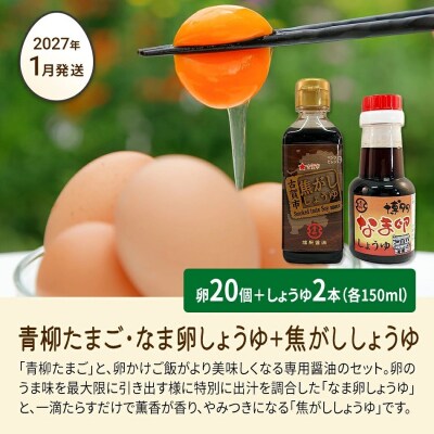 【定期便(6回発送)】たまご(前期)定期便・青柳たまご 2026