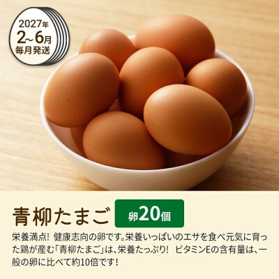 【定期便(6回発送)】たまご(前期)定期便・青柳たまご 2026