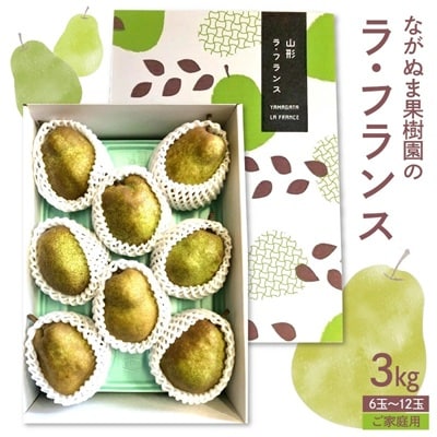 訳あり(ご家庭用) ラフランス 3kg 西洋梨 果物 山形 ラ・フランス 0137-2601