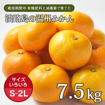 片山農園の淡路島みかん(温州みかん)7.5kg【サイズいろいろS～2Lサイズ】　ak03007