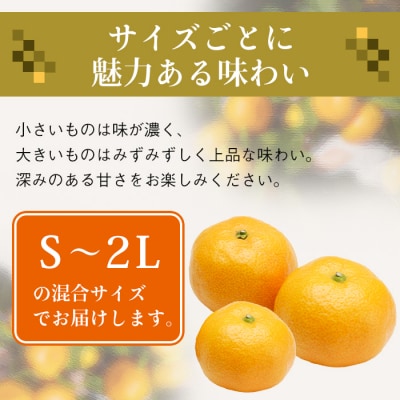 片山農園の淡路島みかん(温州みかん)7.5kg【サイズいろいろS～2Lサイズ】　ak03007