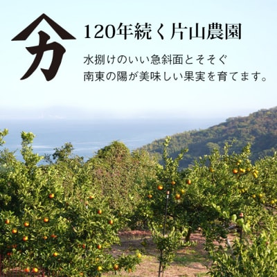 片山農園の淡路島産新甘夏7.5kg【サイズいろいろS～2Lサイズ】　ak03008