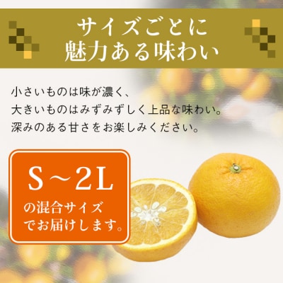 片山農園の淡路島産新甘夏7.5kg【サイズいろいろS～2Lサイズ】　ak03008