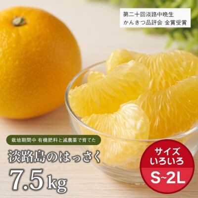 片山農園の淡路島のはっさく7.5kg【サイズいろいろS～2Lサイズ】　ak03009
