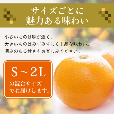 片山農園の淡路島のはっさく7.5kg【サイズいろいろS～2Lサイズ】　ak03009