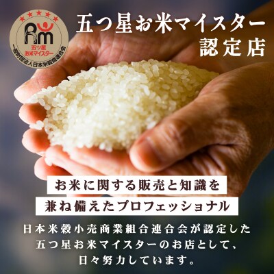 令和7年産 上志文産メープル米「ななつぼし」10kg