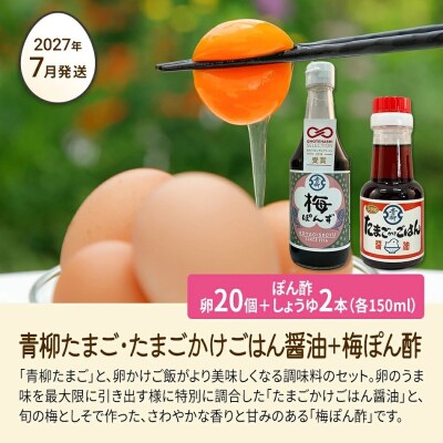【定期便(6回発送)】たまご(後期)定期便・青柳たまご 2026