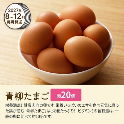 【定期便(6回発送)】たまご(後期)定期便・青柳たまご 2026