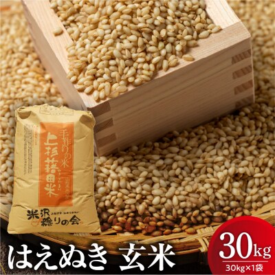 【先行予約】令和8年産 はえぬき 玄米 30kg ( 30kg × 1袋 ) 2026年産 米沢産