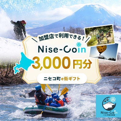 ニセコ町e街ギフト Nise-Coin 3,000円分【98001】