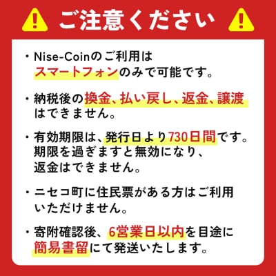 ニセコ町e街ギフト Nise-Coin 3,000円分【98001】