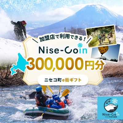 ニセコ町e街ギフト Nise-Coin 300,000円分【98004】