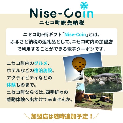 ニセコ町e街ギフト Nise-Coin 300,000円分【98004】