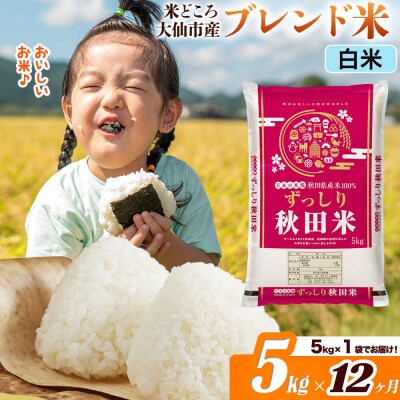 米《12ヶ月》  ブレンド米【白米】5kg|22_ssn-040512h_sf