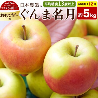 【26年12月発送】りんご ぐんま名月【おもてなし用】約5kg|24_nng-090501bg