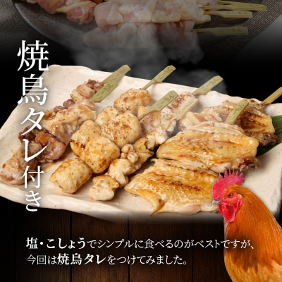 名古屋コーチン焼き鳥セット(モモ・ムネ・手羽中・皮・つくね)(20本入り)[001T02]