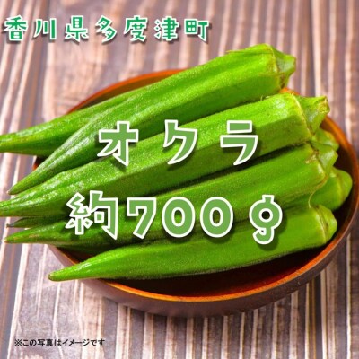 オクラ約700g　10ネットまたはバラ詰め【L-71】