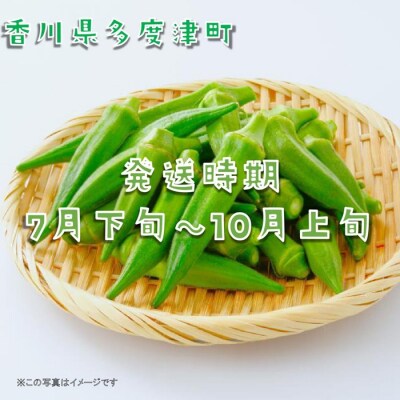 オクラ約700g　10ネットまたはバラ詰め【L-71】