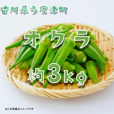 オクラ約3kgバラ詰め(わけあり)【A-145】