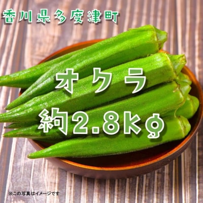 オクラ約2.8kg　40ネットまたはバラ詰め【B-72】