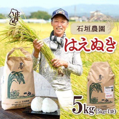 石垣農園のお米 はえぬき 5kg 令和8年産 2026年産 ブランド米