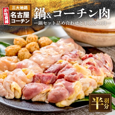 名古屋コーチン鍋セット&追い肉 名古屋コーチン半羽分(350g)セット[001T09]