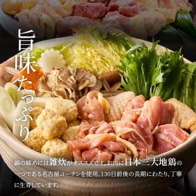 名古屋コーチン鍋セット&追い肉 名古屋コーチン半羽分(350g)セット[001T09]