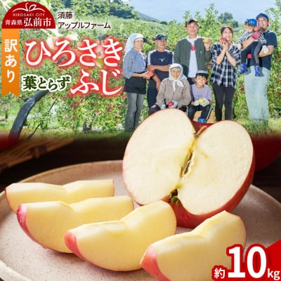 りんご ひろさきふじ 葉とらず【訳あり】約10kg|24_saf-021001