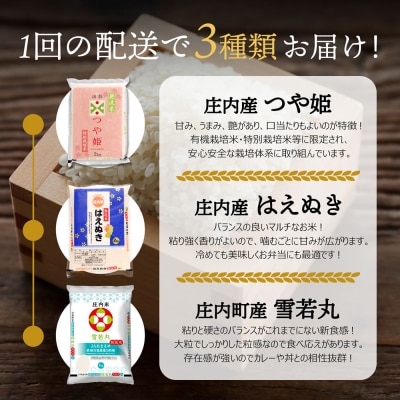 山形のブランド米!食べ比べ 6kgセット 無洗米 2kg×3袋 つや姫 はえぬき 雪若丸 令和8年産