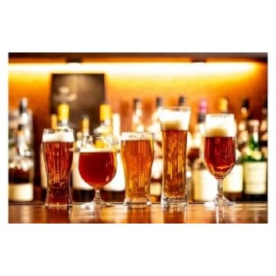 境町オリジナル クラフトビール12本セット(さかい河岸ブルワリー)