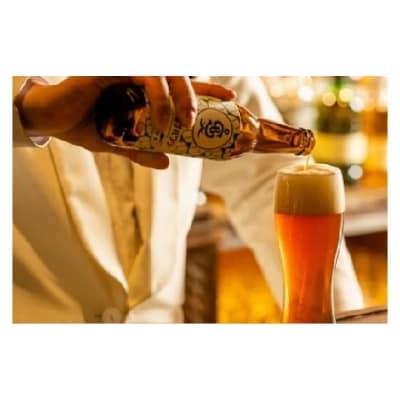 境町オリジナル クラフトビール12本セット(さかい河岸ブルワリー)