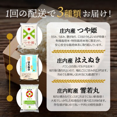 山形のブランド米!食べ比べ 6kgセット 2kg×3袋 つや姫 はえぬき 雪若丸 令和8年産