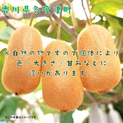 香川県オリジナルキウイフルーツ「香緑」約3.5kg【B-31】