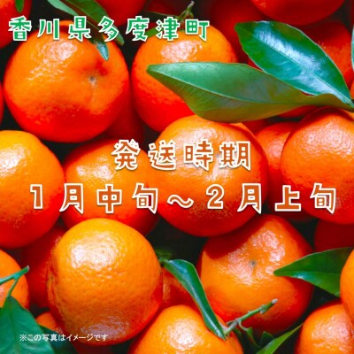 『越冬小原紅早生みかん』約3kg【令和9年1月頃より発送!】【B-33】
