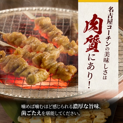 名古屋コーチン焼鳥　皮串20本セット[001T10]