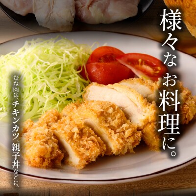 名古屋コーチン　むね肉1.2kg大満足セット[001T11]