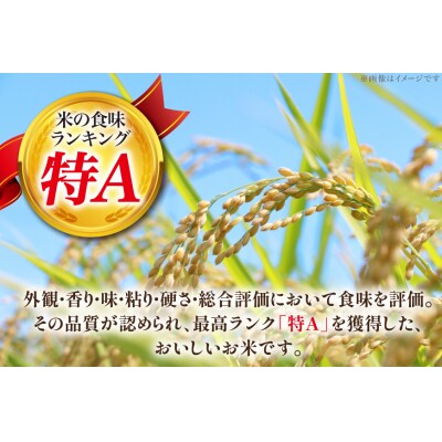 米 特Aランク 令和7年 JA新すながわ産 ななつぼし10kg [ホクレン商事 12260803]