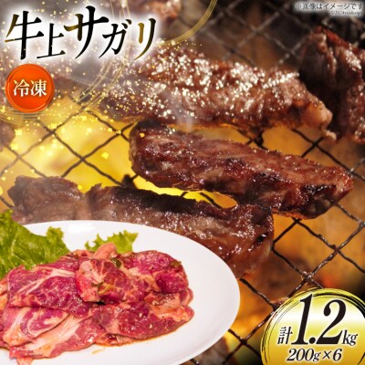 サガリ 牛 上サガリ 200g 6パック 計1.2kg [焼肉銀座園 砂川市 12260732-c]