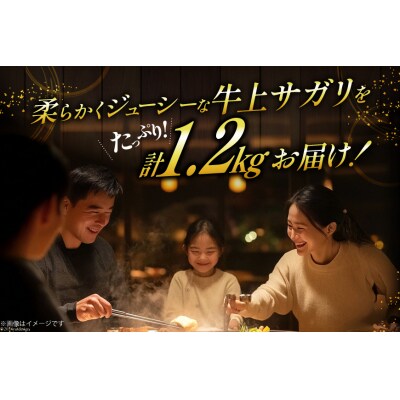 サガリ 牛 上サガリ 200g 6パック 計1.2kg [焼肉銀座園 砂川市 12260732-c]