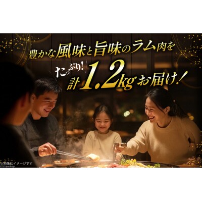ラム肉 冷凍 ラムジンギスカン 200g 6パック 計1.2kg [12260734-c]