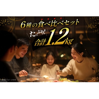 焼肉セット 6種 食べ比べ 200g×6種 計1.2kg [焼肉銀座園 砂川市 12260736]