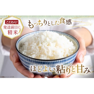 米 令和7年産 ゆめぴりか 5kg 3回 定期便 計15kg 砂川産 特A [12260865]