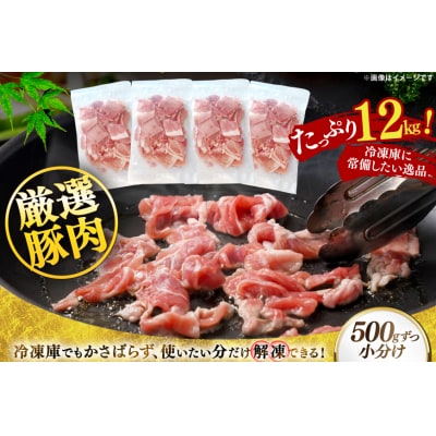 北海道産 豚肉 豚こま切れ 小分け 2kg 6回 定期便 総計 12kg [12260977]
